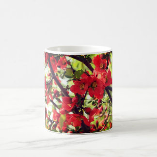 Taza De Café Florecimiento de la quinceañería roja
