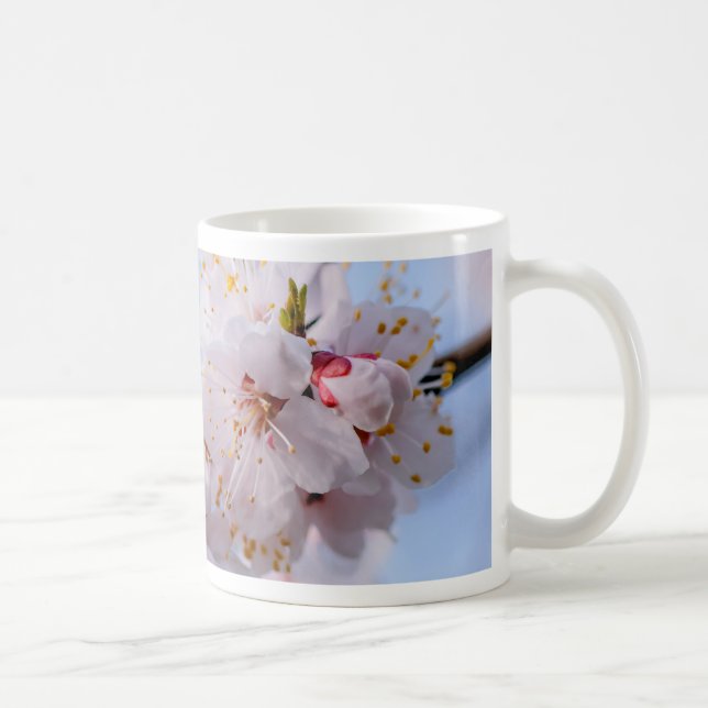 Taza De Café Florecimiento de los precios del petróleo en Japón (Derecha)