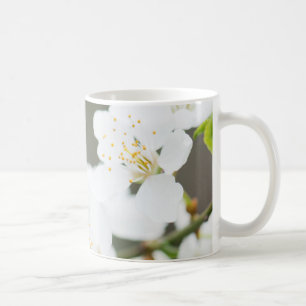 Taza De Café Florecimiento de primavera