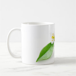 Taza De Café Flores arbóreas naranjas