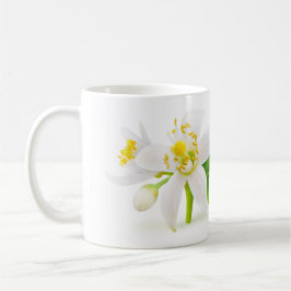 Taza De Café Flores arbóreas naranjas