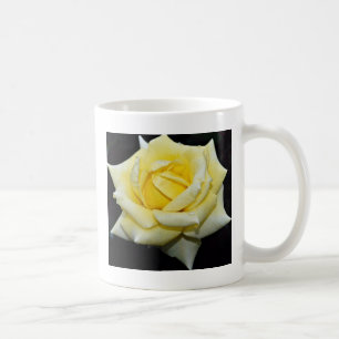 Taza De Café Flores blancas híbridas de "Helmut Schmidt" del