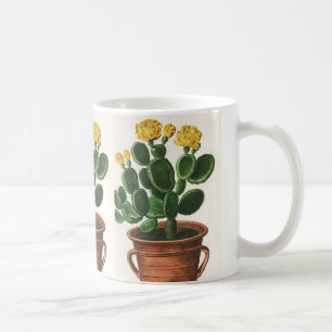 Taza De Café Flores De Cactus Vintage, Suculentas Plantas De Ca