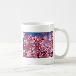 Taza De Café Flores de Cerezo Sakura Besadas por la Luz del Sol