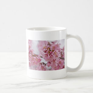 Taza De Café Flores de cerezo Sakura Rosa Pálido