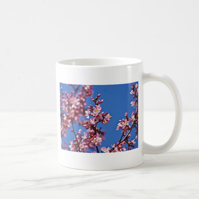Taza De Café Flores de cerezo sakura tocan el azul (Derecha)
