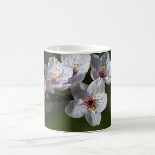 Taza De Café Flores de ciruela primavera