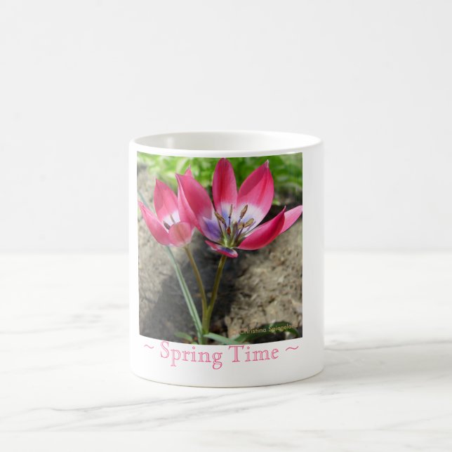 Taza De Café Flores de crocus rosa Mug (Centro)