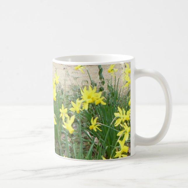 Taza De Café Flores de Daffodil Panorámicas Mug (Derecha)