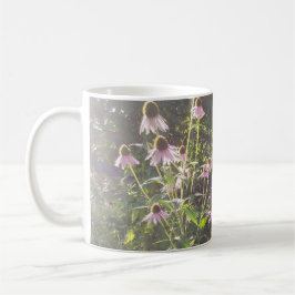 Taza De Café Flores de Echinacea al Sol