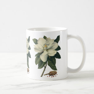 Taza De Café Flores de flor de Magnolia blanca floreciente