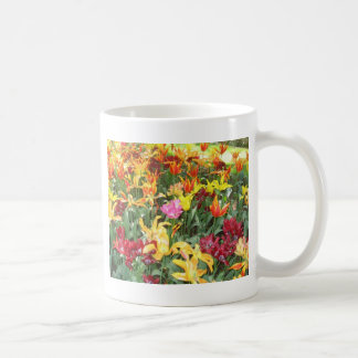 Taza De Café Flores de Holanda, Keukenhof