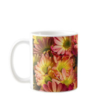 Flores de la primavera