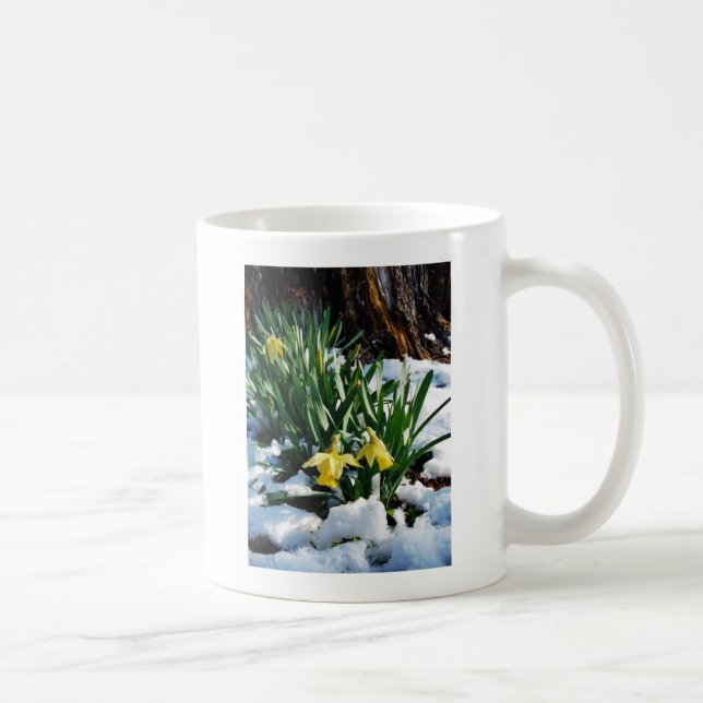 Taza De Café Flores de los Daffodils amarillos en la nieve (Derecha)