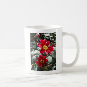Taza De Café flores de margarita rosada roja / margarita