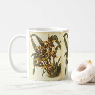 Taza De Café Flores de orquídea Odontoglossum tropicales vintag