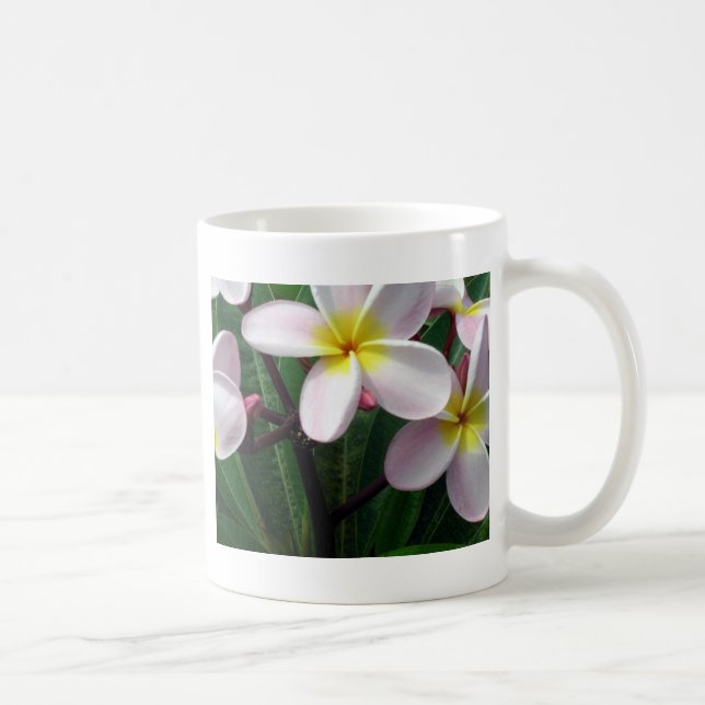 Taza De Café Flores de Plumeria de Hawái (Derecha)