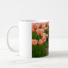 Taza De Café Flores de primavera chiba inu