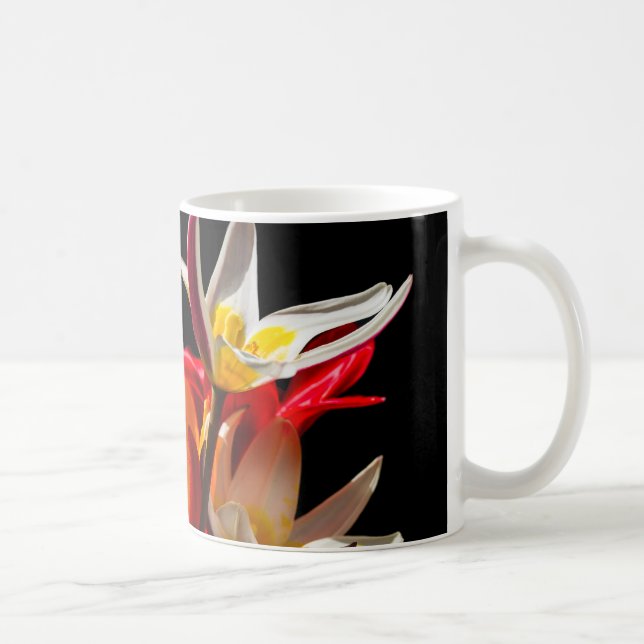 Taza De Café Flores de tulipán sobre fondo negro (Derecha)