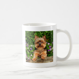 Taza De Café Flores de Yorkie