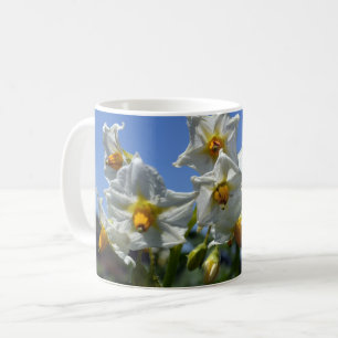 Taza De Café Flores estéticas Solanum tuberosum