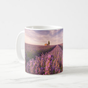 Taza De Café Flores   Lavender Southern France