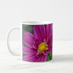 Taza De Café Flores moradas de cosmos
