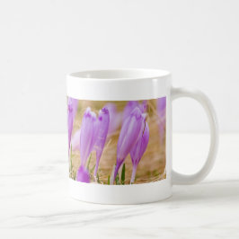 Taza De Café Flores moradas de croco en hierba