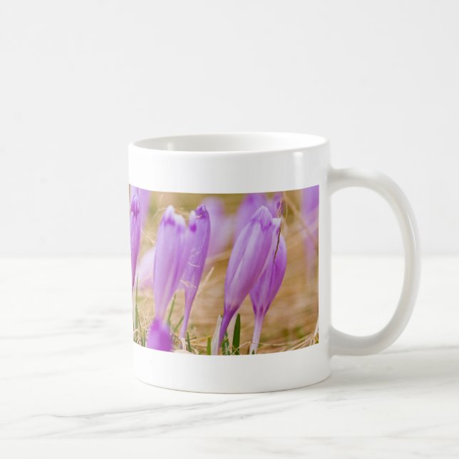 Taza De Café Flores moradas de croco en hierba (Derecha)