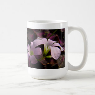 Taza De Café Flores moradas de Oxalis