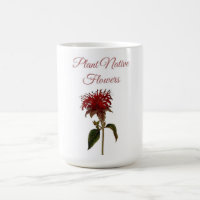 Flores Nativas de la Planta Monarda 