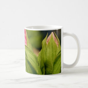 Taza De Café Flores rosadas Green Buds Floral Love Photo Mug