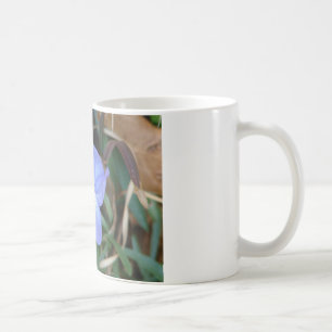 Taza De Café Flores salvajes Regalos de aguas termales violetas
