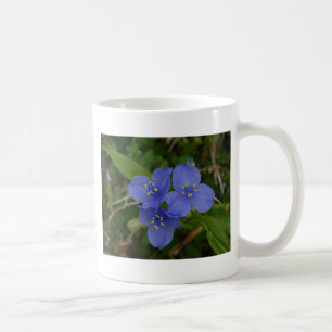 Taza De Café Flores silvestres Blue Spiderwors Hot Springs AR R