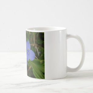 Taza De Café Flores silvestres Blue Spiderwors Hot Springs AR R