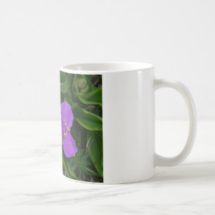 Taza De Café Flores silvestres Fucsia Spiderwort Regalos de Hot
