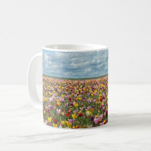 Taza De Café Flores Tulips Willamette Valley Oregon