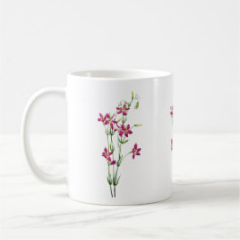 Taza De Café Flores Vintage - Centaurium de Mary Vaux Walcott