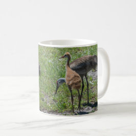 Taza De Café Florida Sandhill Cranes Nature Photography