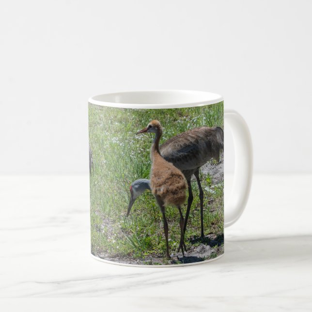 Taza De Café Florida Sandhill Cranes Nature Photography (Anverso derecho)