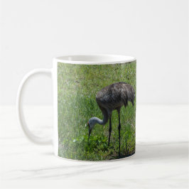 Taza De Café Florida Sandhill Cranes Nature Photography