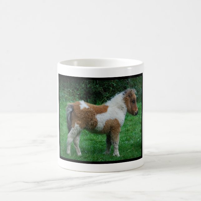 Taza De Café Fluffy Adorable Dartmoor Pony (Centro)