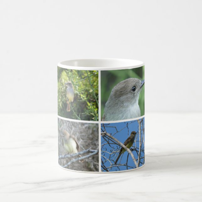 Taza De Café Flycatcher de Galápagos (Centro)