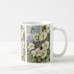 Taza De Café Follaje y flores del dogwood de California
