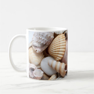 Taza De Café Fondo de coral de conchas marinas con piedras