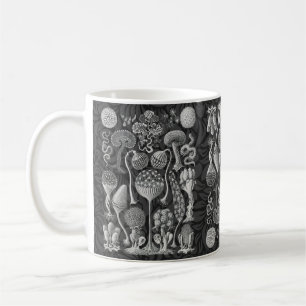 Taza De Café Formas artísticas de la naturaleza