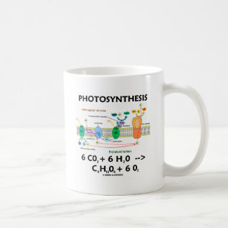 Taza De Café Fórmula de fotosíntesis (química)