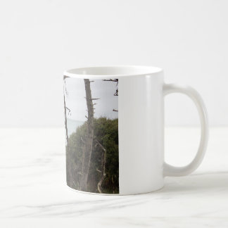 Taza De Café Fort Bragg, costa costa de CA