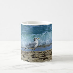 Taza De Café Fort Lauderdale, Florida
