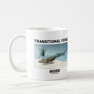 Taza De Café Fósiles transitorios dentro de la zona de Tiktaali